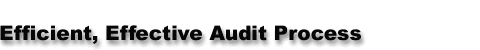 Efficient, Effective Audit Process