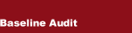 Baseline Audit