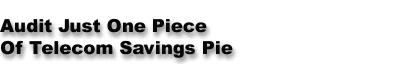 Audit Just One Piece Of Telecom Savings Pie