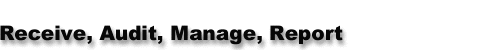Receive, Audit, Manage, Report : Telecom Bill Audit & Telecom Invoice Management