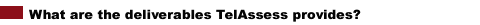What are the deliverables TelAssess provides?